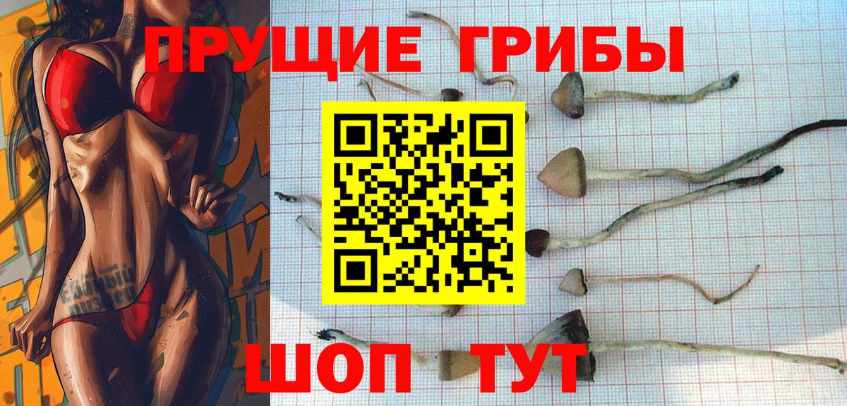 Псилоцибиновые грибы мицелий  Вход с VPN  Гатчина  Псилоцибиновые грибы мухоморы 